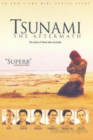 Tsunami - Il giorno dopo streaming - guardaserie