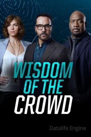 Wisdom of the Crowd - Nella rete del crimine streaming - guardaserie