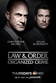 Law & Order: Organized Crime streaming - guardaserie