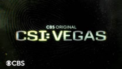 CSI: Vegas (2021) streaming - guardaserie