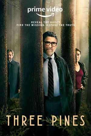 Il Commissario Gamache - Misteri a Three Pines streaming - guardaserie