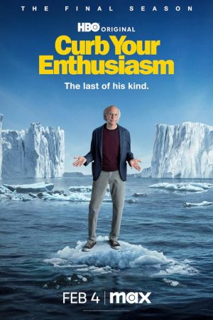 Curb Your Enthusiasm streaming - guardaserie